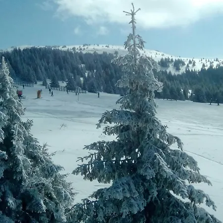 Srebrna Pahulja-konaci Appartement