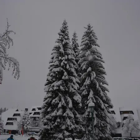 Srebrna Pahulja-konaci Appartement